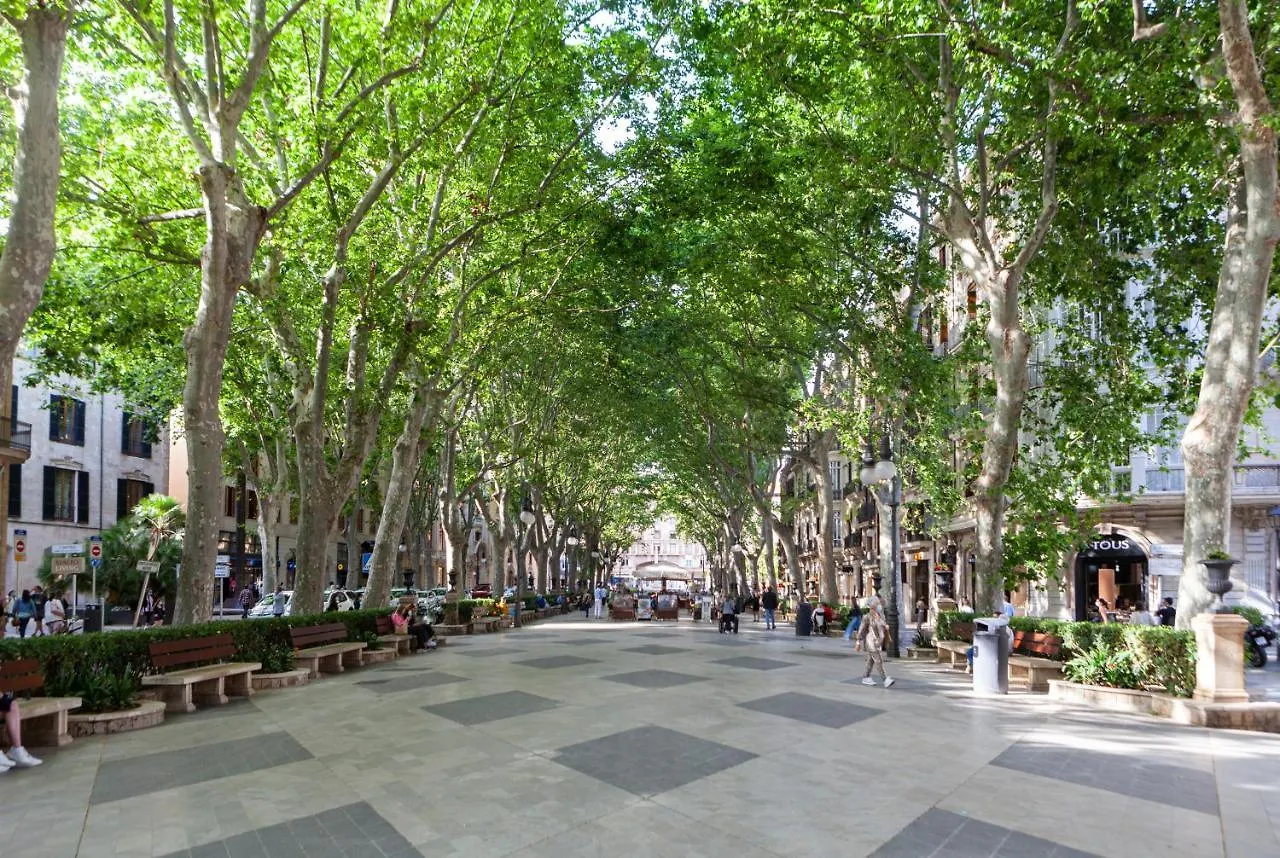 Nivia Born Boutique Hotel Palma de Mallorca